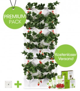 Premium Pack Vertikaler Gemüsegarten von Minigarden